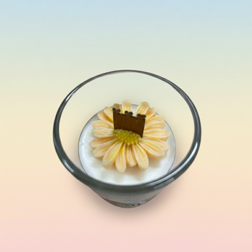 Bougie Mangue coco