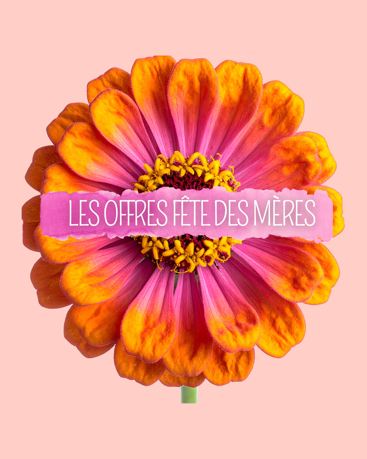 FÊTE DES MERES